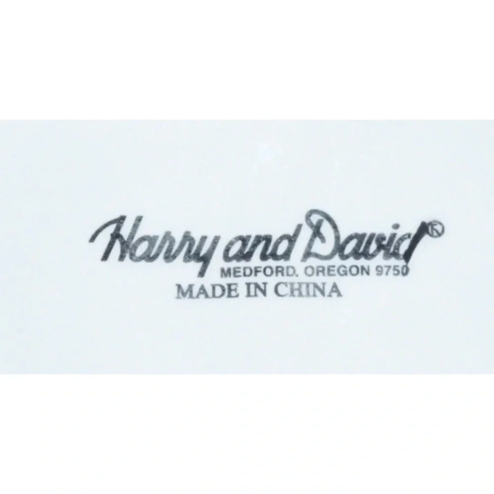 Harry and David Christmas Holiday Snowman Platter